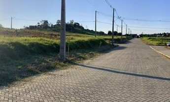 Imagem 3: Terreno Taquara Ideal