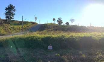 Imagem 5: Terreno Taquara Ideal