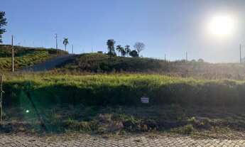 Imagem 6: Terreno Taquara Ideal