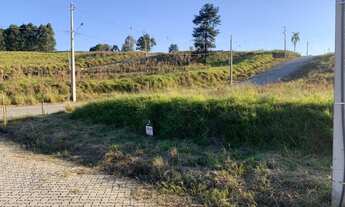 Imagem 7: Terreno Taquara Ideal