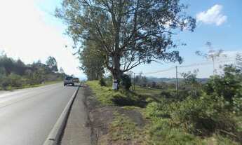 Imagem: Terreno Taquara Padre Tomé