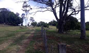Imagem 2: Sítio com 2 Dormitorio(s) localizado(a) no bairro Pituva em Taquara / Rio Grande do Sul R