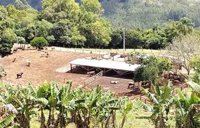 Imagem 4: Sítio com 4 Dormitorio(s) localizado(a) no bairro Gloria em Rolante / Rio Grande do Sul R