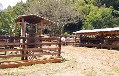 Imagem 7: Sítio com 4 Dormitorio(s) localizado(a) no bairro Gloria em Rolante / Rio Grande do Sul R