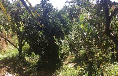 Imagem 2: CASA NO BAIRRO GUARUJÁ