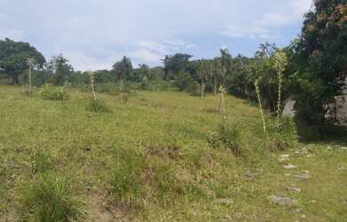 Imagem 6: ÁREA DE TERRA NO CENTRO