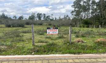 Imagem: ÁREA DE TERRA NO BAIRRO FAZENDA MARTINS