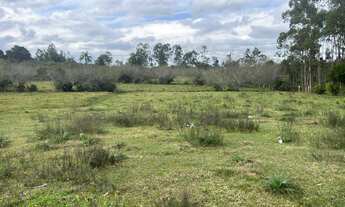 Imagem 7: ÁREA DE TERRA NO BAIRRO FAZENDA MARTINS