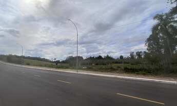 Imagem 3: ÁREA DE TERRA NO BAIRRO FAZENDA MARTINS