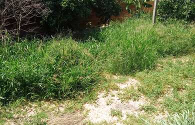 Imagem 3: Casa Taquara Eldorado