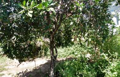 Imagem 3: CASA NO BAIRRO CENTRO