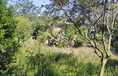 Imagem 4: CASA NO BAIRRO EMANCIPAÇÃO