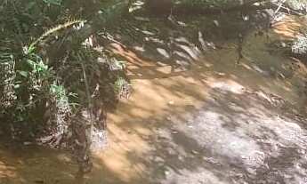 Imagem 4: Sítio Taquara Campestre