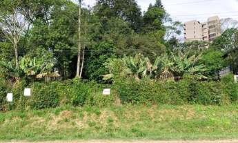 Imagem: Terreno Taquara Morro do Leôncio