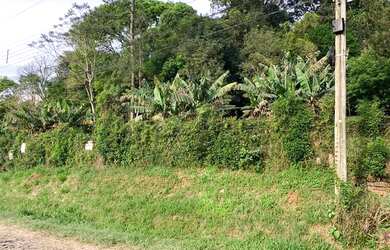 Imagem 2: Terreno Taquara Morro do Leôncio