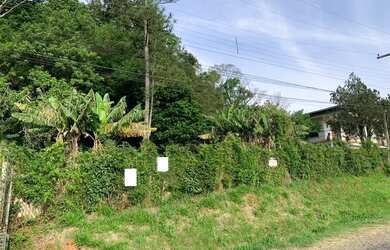 Imagem 3: Terreno Taquara Morro do Leôncio