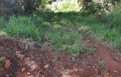 Imagem 6: TERRENO NO BAIRRO EMANCIPAÇÃO