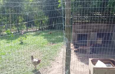 Imagem 6: Chácara Rolante Interior