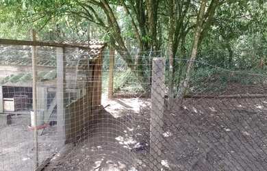 Imagem 7: Chácara Rolante Interior