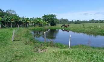 Imagem 7: CHÁCARA NO BAIRRO FAZENDA PIRES