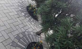 Imagem 4: CASA NO BAIRRO MARIANA