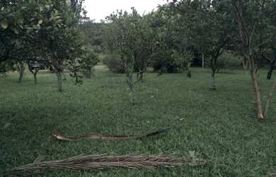 Imagem 7: Chácara no Interior de Taquara