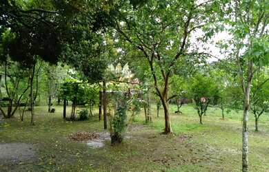 Imagem 5: Chácara no Interior de Taquara