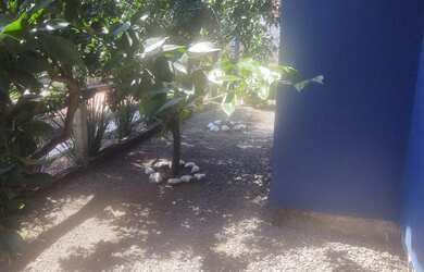 Imagem 6: CASA NO BAIRRO GUARUJÁ