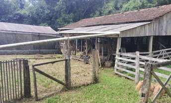 Imagem 7: CHÁCARA NO BAIRRO FAZENDA PIRES