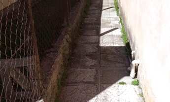 Imagem 6: CASA NO BAIRRO MARIANA