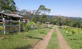 Imagem 7: CHÁCARA NO INTERIOR DE TAQUARA