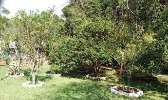 Imagem 7: CHÁCARA NO INTERIOR DE TAQUARA