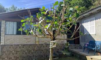 Imagem 6: CASA NO BAIRRO COHAB