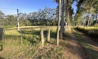 Imagem 2: CHÁCARA EM PITUVA