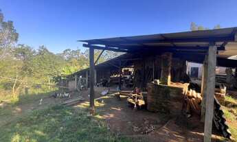 Imagem 7: CHÁCARA EM PITUVA