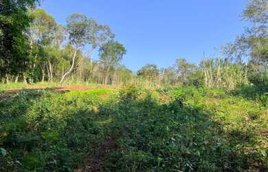 Imagem 3: ÁREA DE TERRA NO BAIRRO PÔR DO SOL