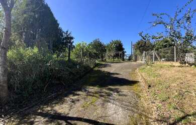 Imagem 6: TERRENOS E CASA NO BAIRRO FAZENDA MARTINS