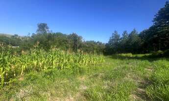 Imagem 6: CHÁCARA NA AREIA BRANCA