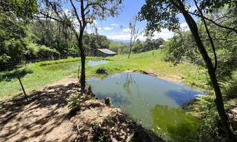 Imagem 6: SÍTIO EM ENTREPELADO