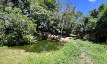 Imagem 7: SÍTIO EM ENTREPELADO