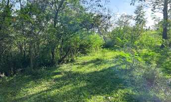 Imagem 7: CHÁCARA NO BAIRRO FAZENDA PIRES