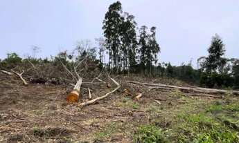 Imagem: CHÁCARA NA LOCALIDADE DE GLÓRIA