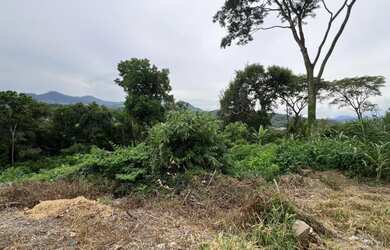 Imagem 3: ÁREA DE TERRA NO BAIRRO CENTRO