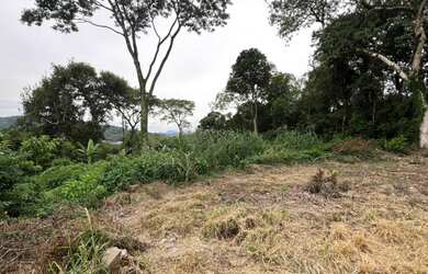 Imagem 4: ÁREA DE TERRA NO BAIRRO CENTRO