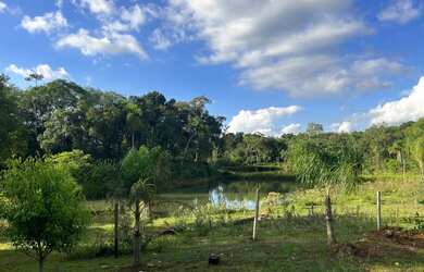 Imagem 5: CHÁCARA NO INTERIOR DE IGREJINHA