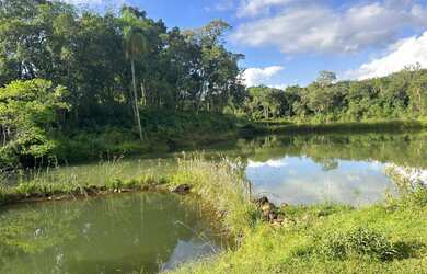 Imagem 7: CHÁCARA NO INTERIOR DE IGREJINHA