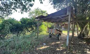 Imagem 6: CHÁCARA EM PEGA FOGO