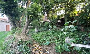 Imagem 4: TERRENO COMERCIAL NO BAIRRO GUARANI