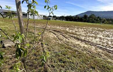 Imagem 3: Lindo terreno próximo a RS 239 em Sapiranga/RS