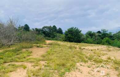 Imagem 7: Terreno usado à venda em Sapiranga - Excelente localização no bairro Amaral Ribeiro!